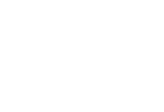Simseeer Logo